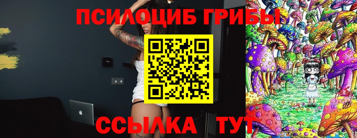 Псилоцибиновые грибы прущие грибы Обнинск
