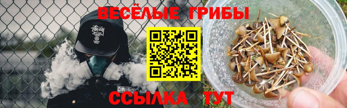хочу   Галлюциногенные грибы Psilocybine cubensis  Вход с VPN  Обнинск 